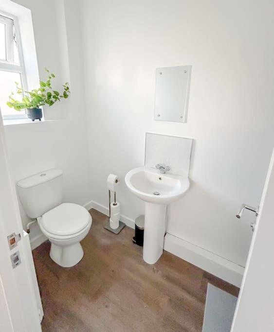 Wellington Road Apartment 1 大雅茅斯 外观 照片